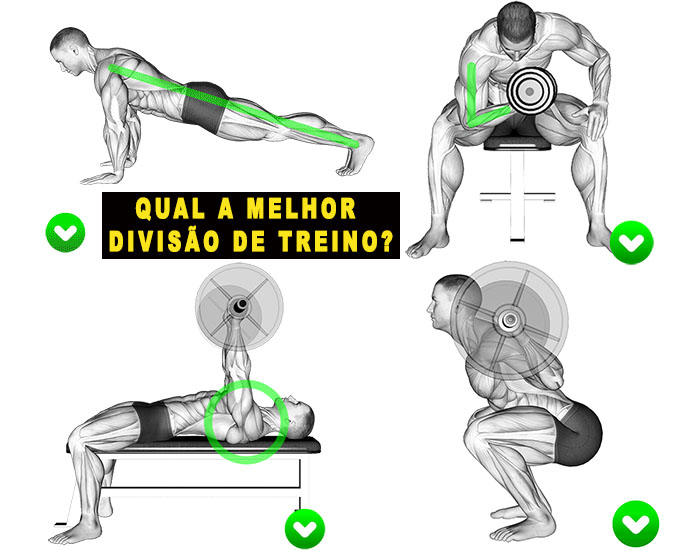 Qual a melhor divisão de treino para hipertrofia? Iniciantes