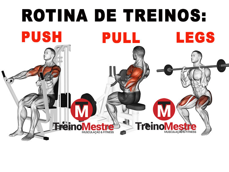 Ficha de treino de academia: como montar, dicas e modelos