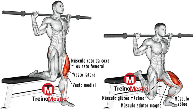 So musica de altissima qualidade #academia #treino #musculação #bulgar