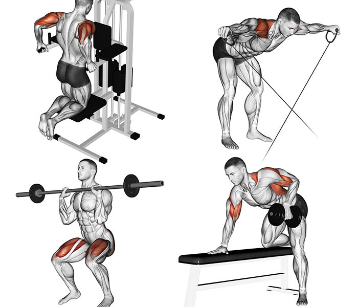 Treino de Abdômen Completo para Hipertrofia - Treino Mestre