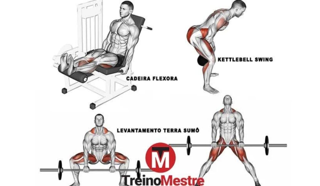 10 Melhores Exercícios para posterior de coxa com ficha de exemplo posterior de coxa exercícios
