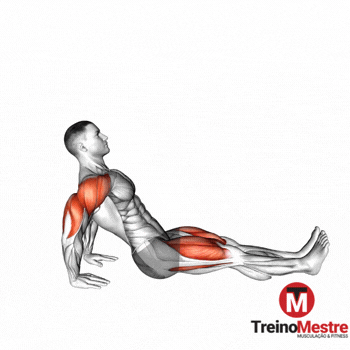 Prancha reversa (invertida)