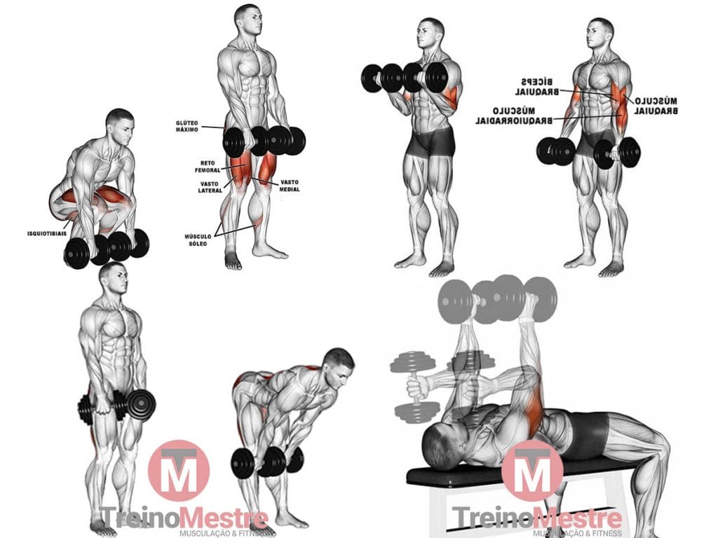 exercícios para fazer em casa iniciantes ficha treino