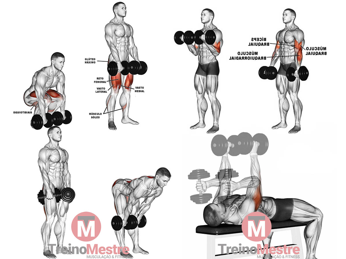 Melhores exercícios para posteriores de coxa (com treino incluído)