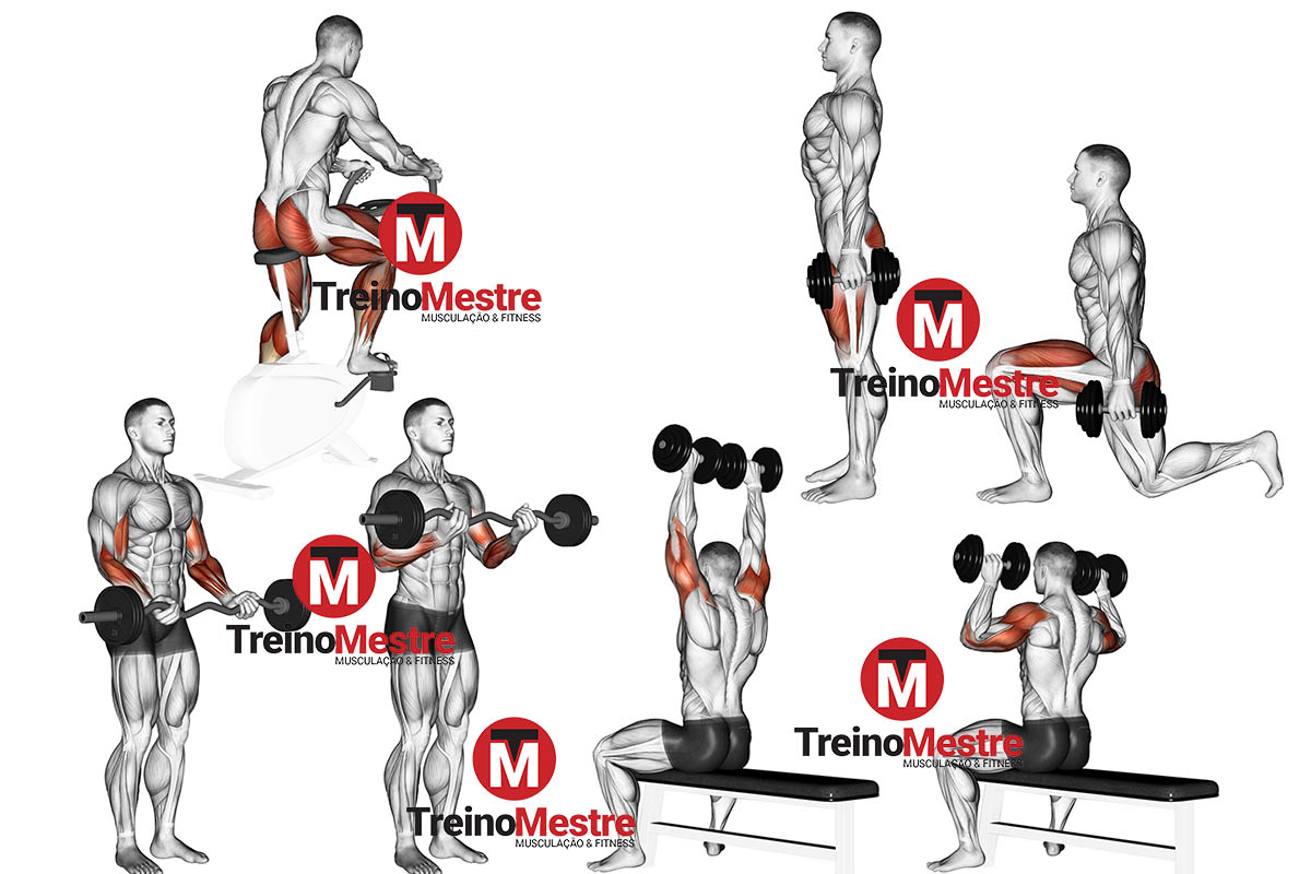 Treino de definição para homens (Iniciantes, Intermediários e