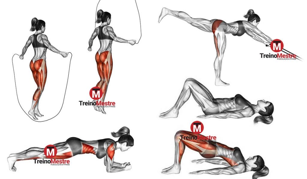Treino de definição para Mulheres (Iniciantes, Intermediários e Avançados) treino de cutting feminino