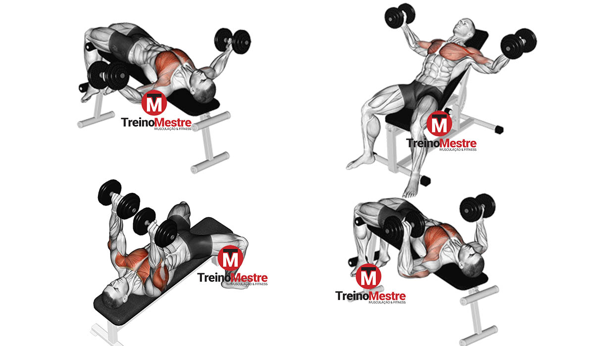 Supino Declinado com Halteres - Exercício para Peito 