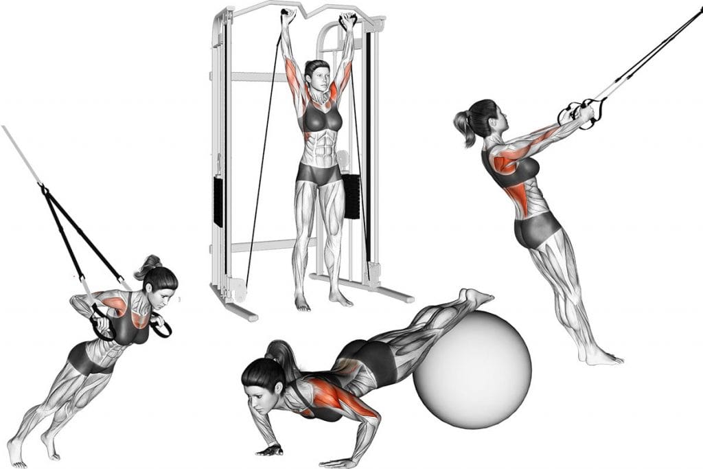 7 motivos para as mulheres treinarem membros superiores motivos para as mulheres treinarem membros superiores