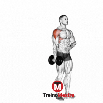 Elevação lateral unilateral com halteres