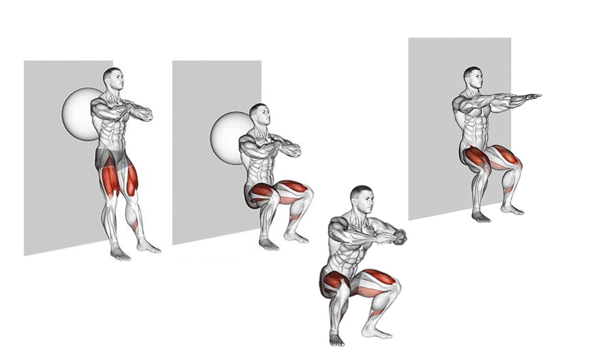 Agachamento sumô isométrico, Catálogo de Exercícios