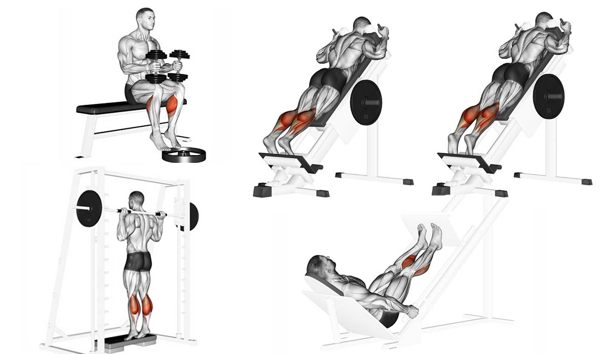 Treino de Abdômen Completo para Hipertrofia - Treino Mestre