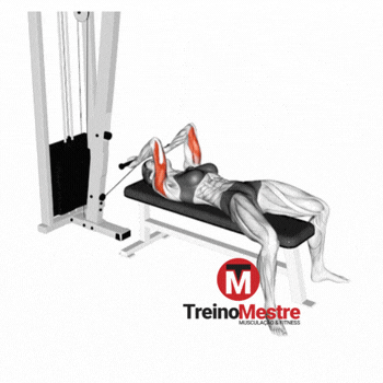 triceps testa na polia deitado