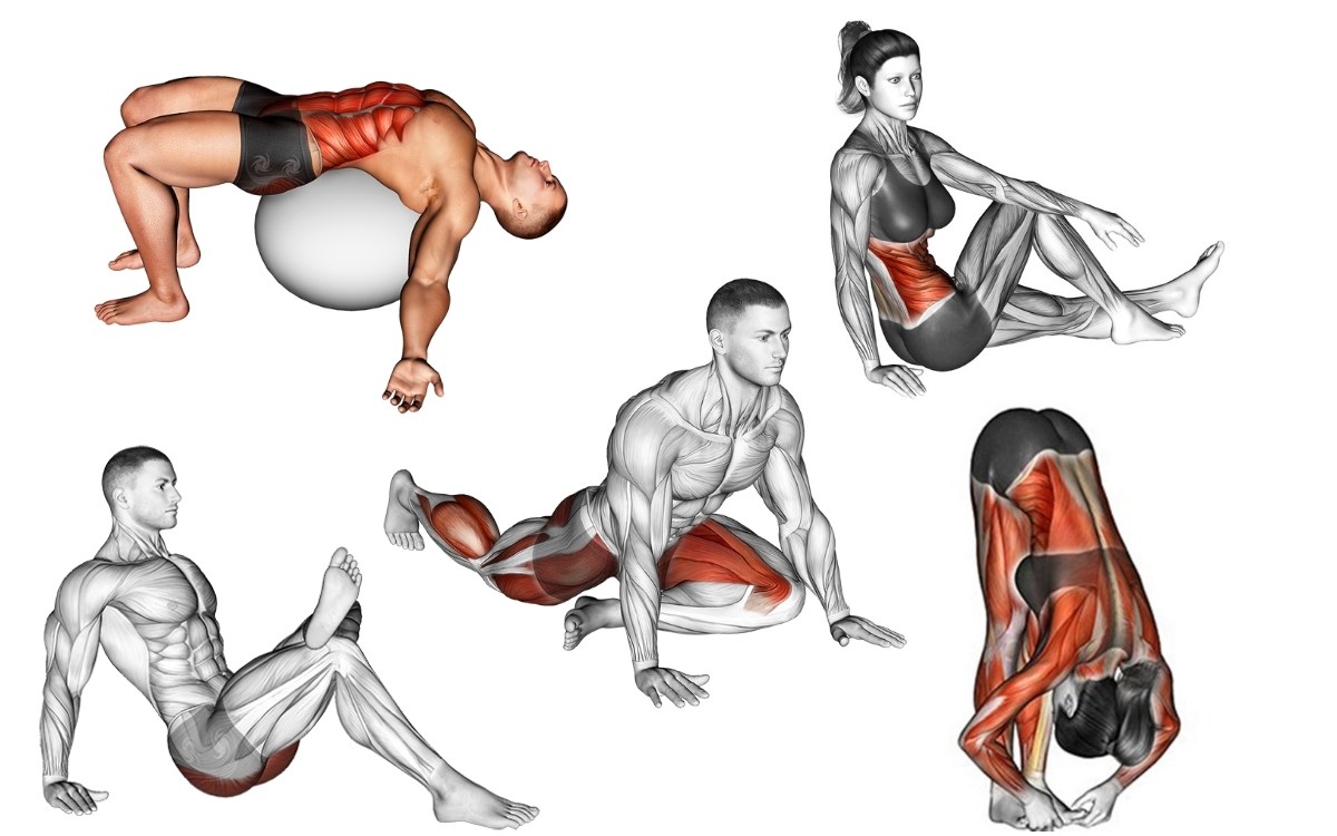 Efeito do alongamento de cadeia posterior em praticantes de musculação
