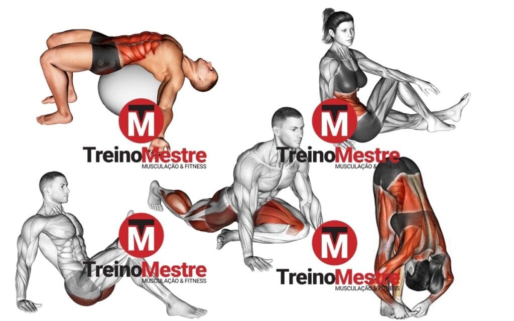 alongar antes ou depois do treino