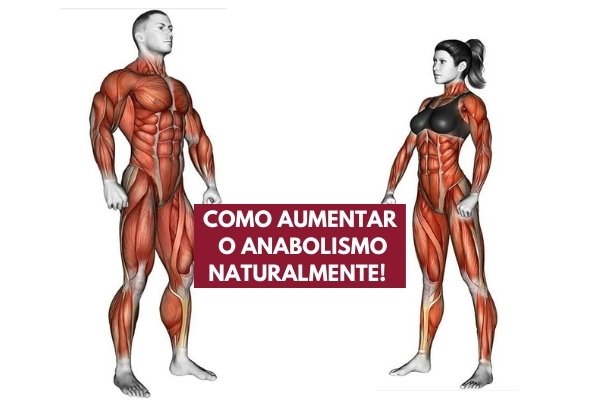 anabolismo e catabolismo muscular o que é