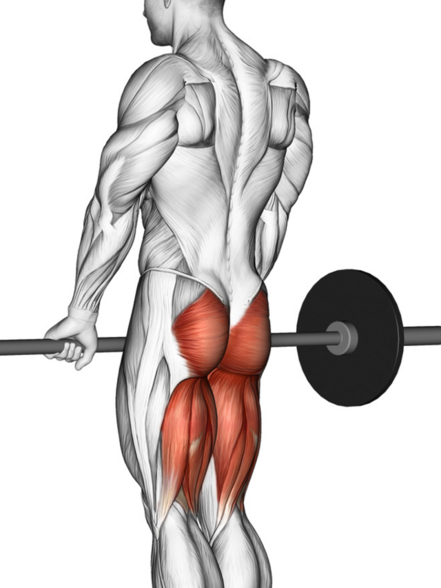Melhores exercícios para os glúteos!