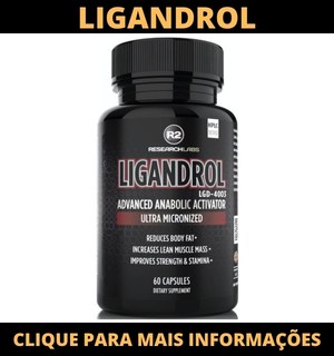 ligandrol r2 research labs