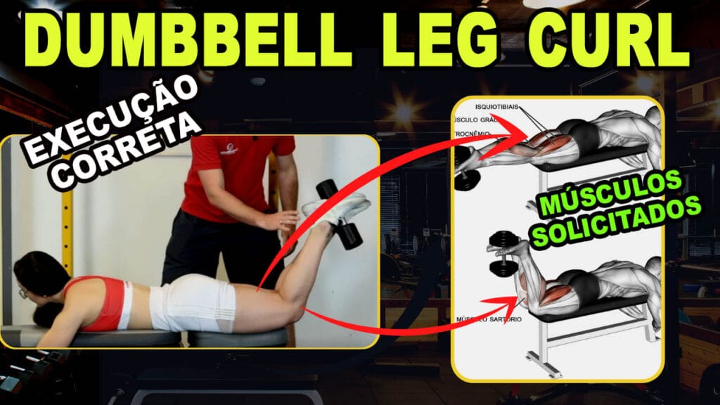 Dumbbell leg curl (Flexão de joelhos com halteres): Como fazer, músculos e quando usar em seu treino Dumbbell leg curl exercicio como fazer para que serve