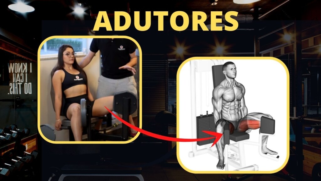Adutor (parte interna da coxa): como treinar corretamente? Veja os melhores exercícios! adutor adutores musculos melhores exercicios