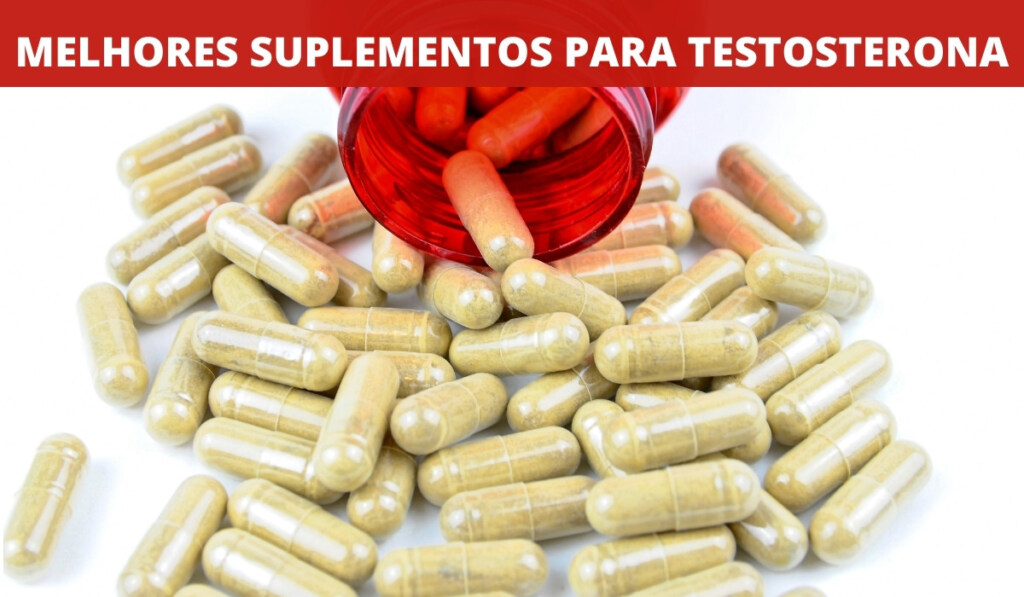 8 Melhores Suplementos para aumentar a testosterona de forma natural testosterona suplemento melhores