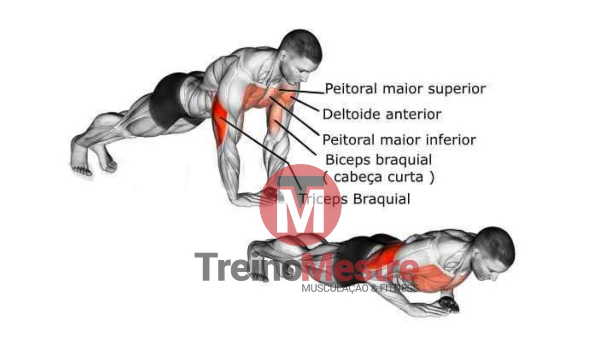 treinocompleto #braco Sequencia de exercícios para fazer triceps, bi