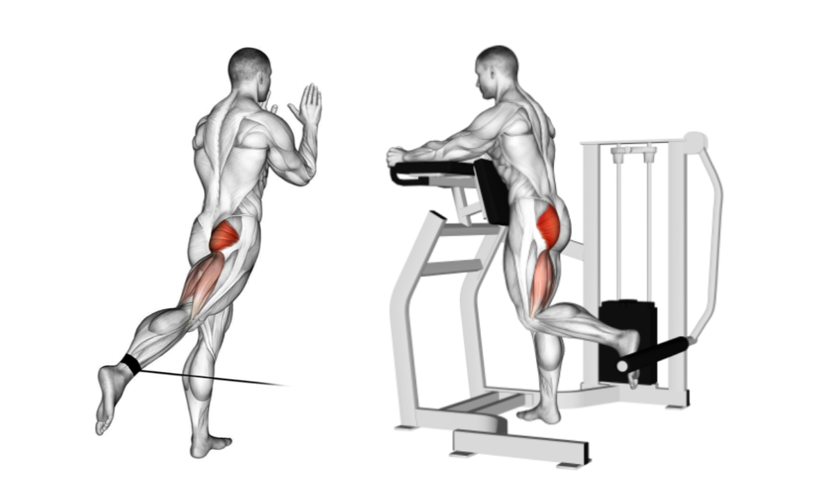 Extensores Do Quadril