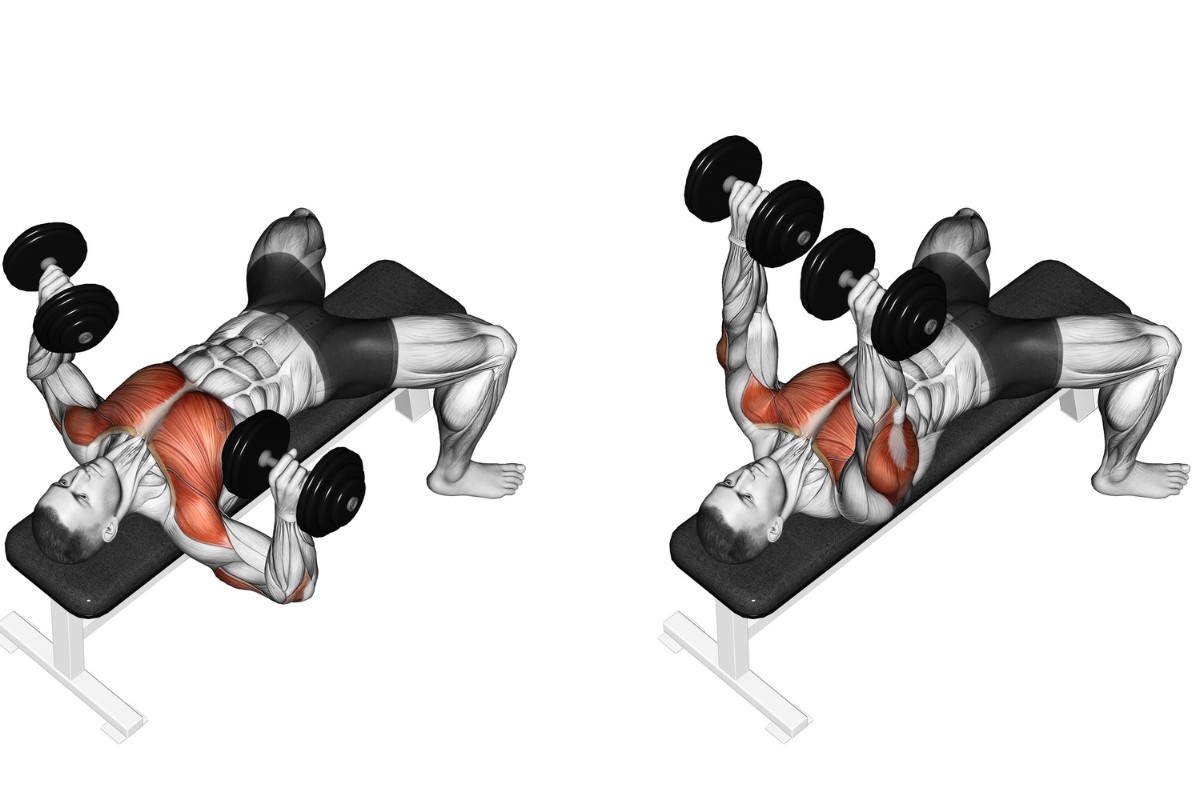 Supino Reto Com Halteres Pegada Neutra 