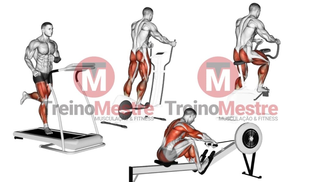 melhores aerobicos para perder calorias