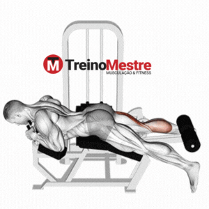 Mesa flexora unilateral