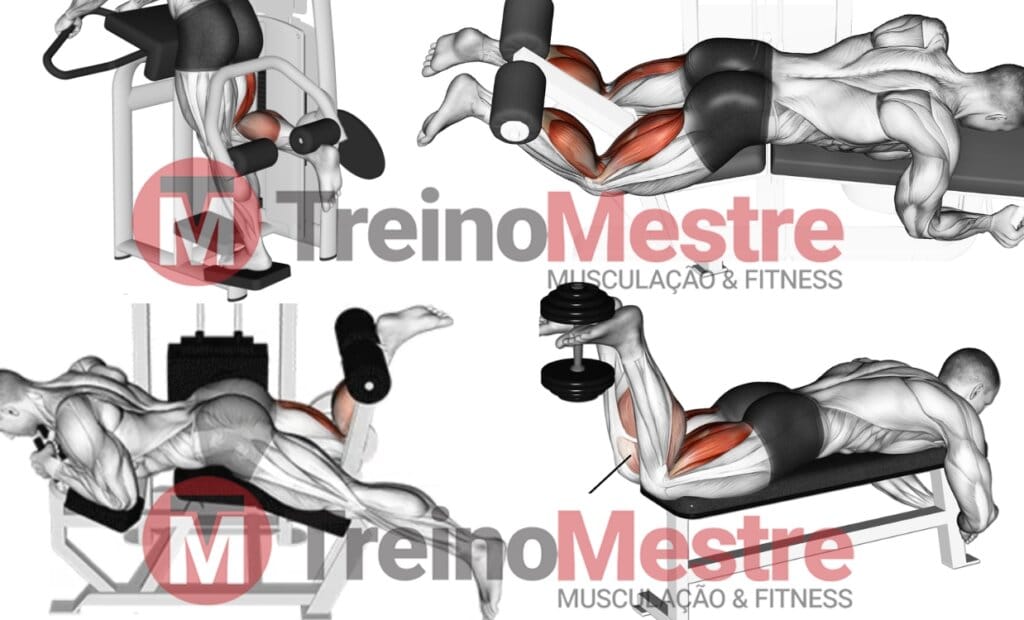 mesa flexora romana