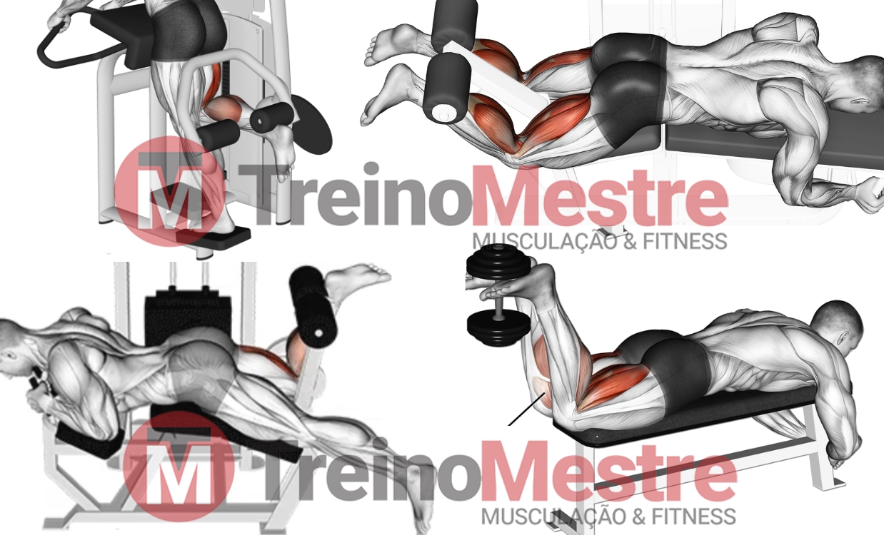 Mesa Flexora: para que serve, músculos, variações e dicas - Treino Mestre