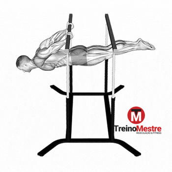 Back lever