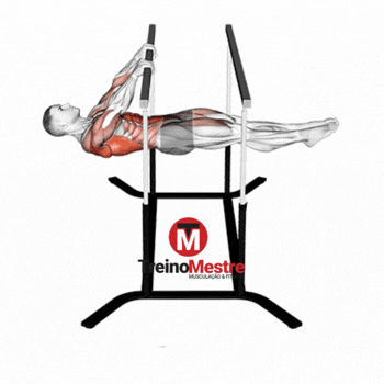 Front lever