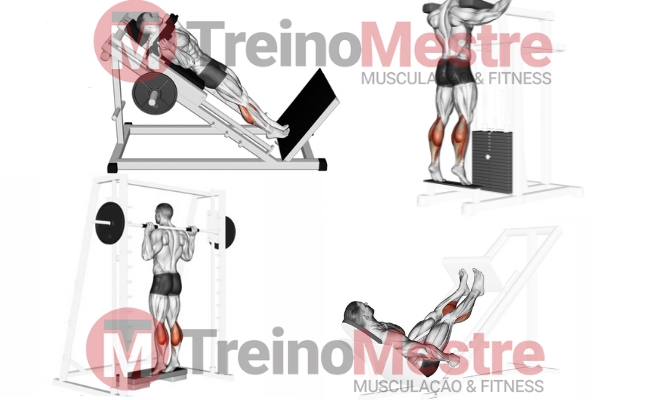 Músculos trabalhados na elevação de panturrilhas