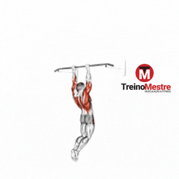 muscle-up