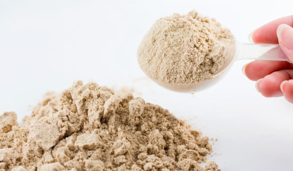 diferenças whey protein