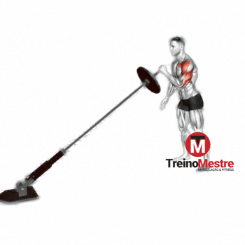 Landmine Press unilateral, execução