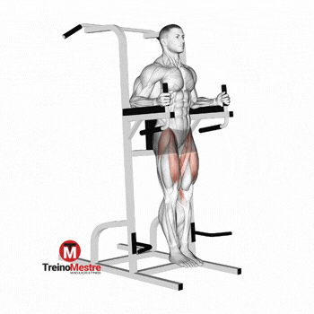 Abdominal infra paralela